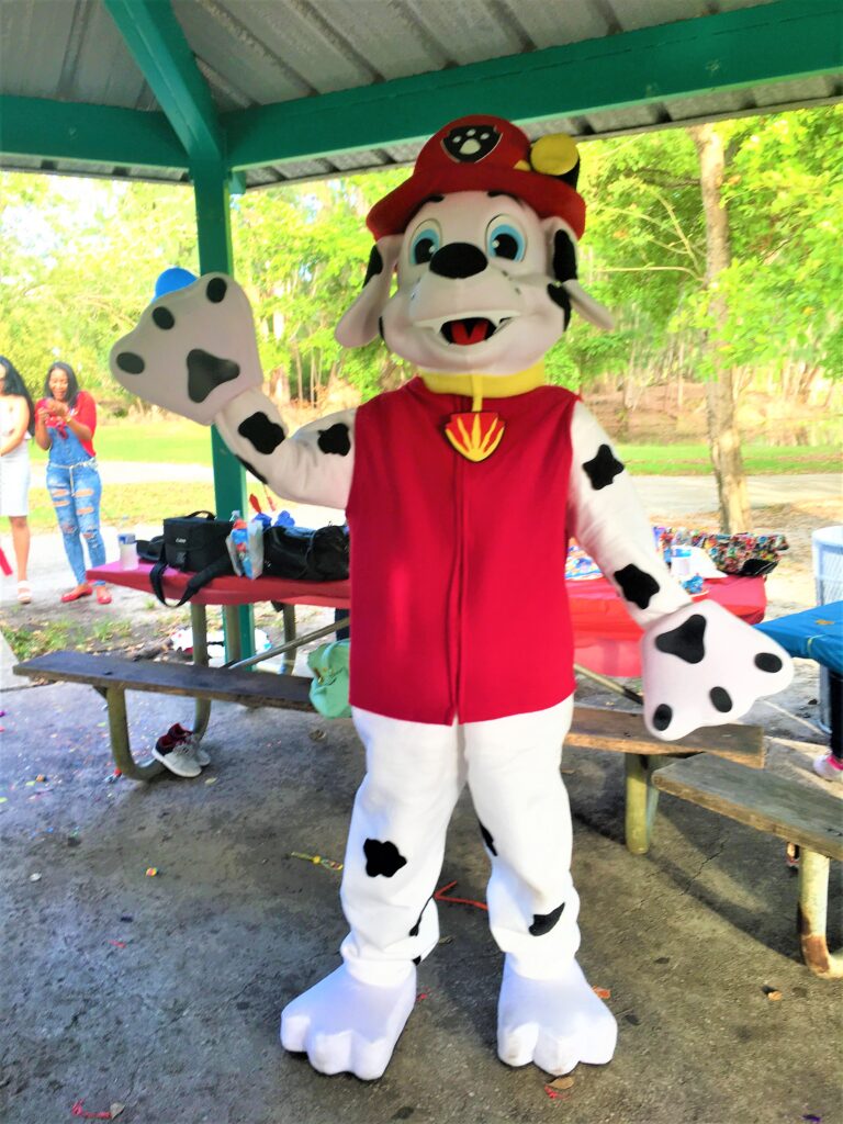 marshall paw patrol character party